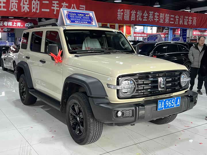 Фото 3 - Tank 300