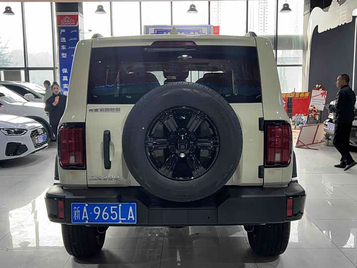 Фото 8 - Tank 300