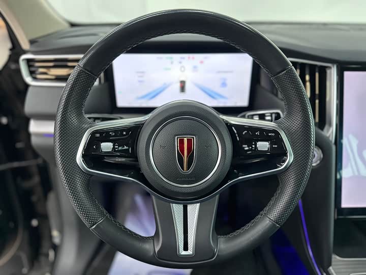 Photo 8 - Hongqi HS7 Hybrid