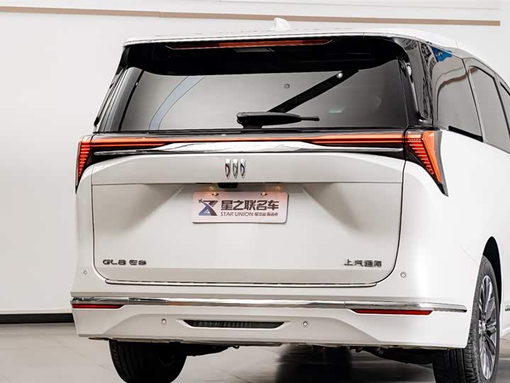 Фото 8 - Buick GL8 ES