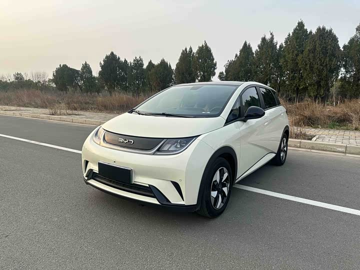 Фото 2 - BYD Dolphin