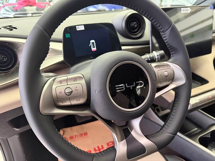 Фото 4 - BYD Dolphin