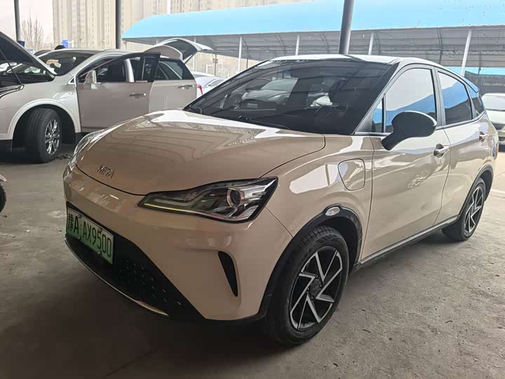 Фото 1 - Hozon AYA