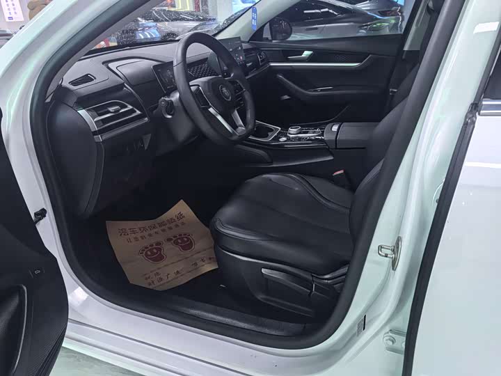 Фото 6 - BYD Qin Plus