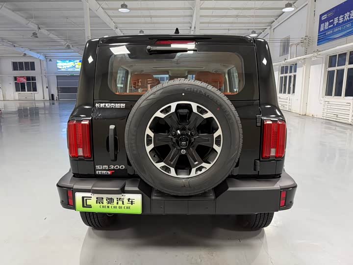 Фото 5 - Tank 300 Hybrid