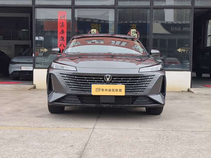 Фото 2 - Changan Eado Plus