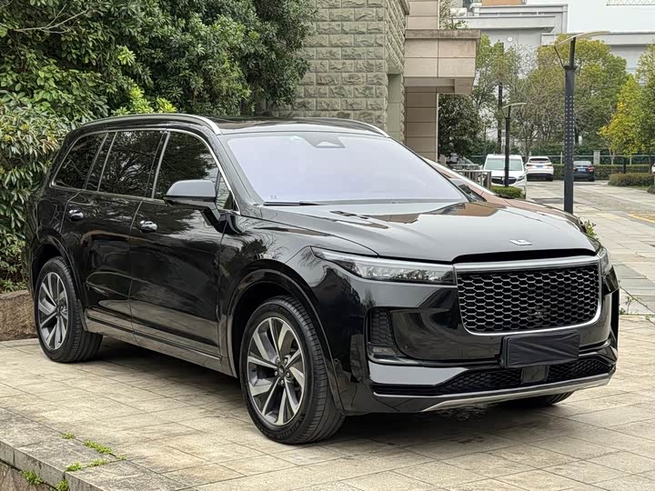 Фото 3 - LiXiang One