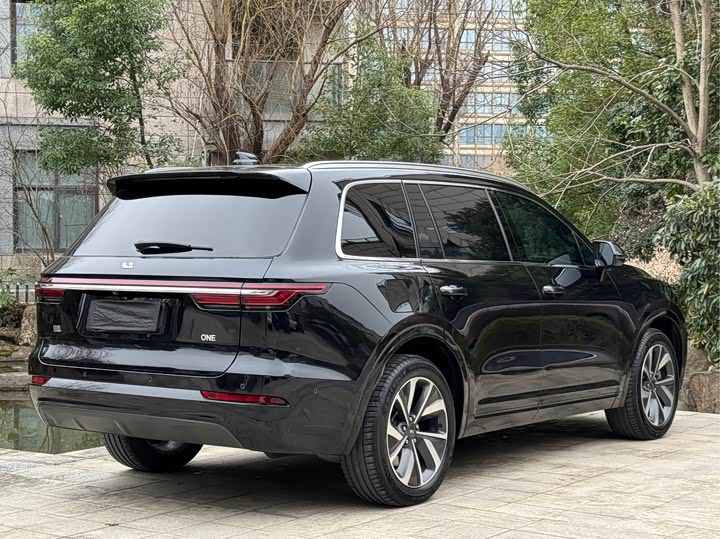 Фото 5 - LiXiang One