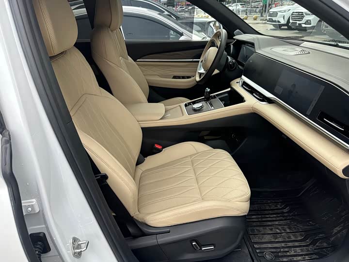 Фото 8 - Geely Monjaro