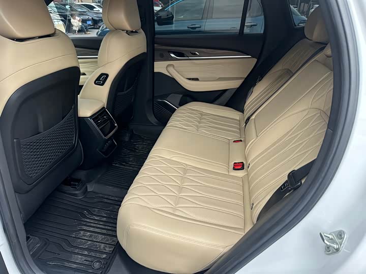 Фото 9 - Geely Monjaro