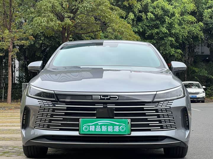 Фото 2 - BYD Destroyer 05