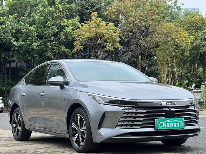 Фото 3 - BYD Destroyer 05