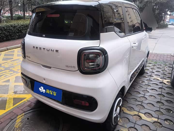 Photo 3 - Bestune Pony