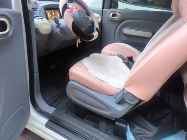 Photo 9 - Bestune Pony