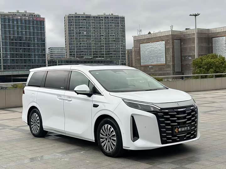 Фото 3 - BYD Xia