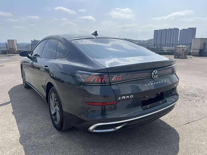 Фото 7 - Volkswagen Lamando L