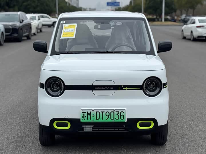 Фото 2 - Geely Galaxy Panda Mini