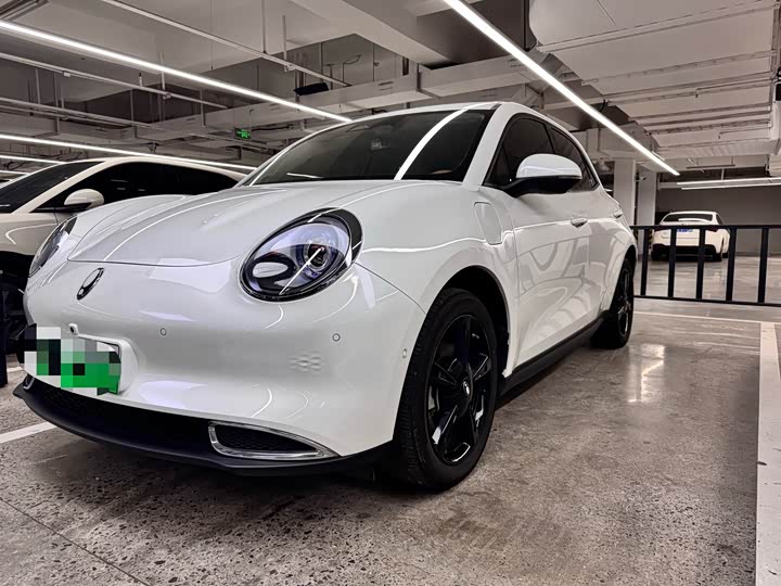 Photo 1 - Ora Good Cat (03)