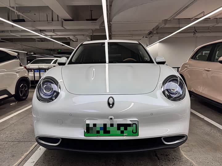 Photo 2 - Ora Good Cat (03)