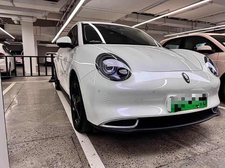 Photo 3 - Ora Good Cat (03)