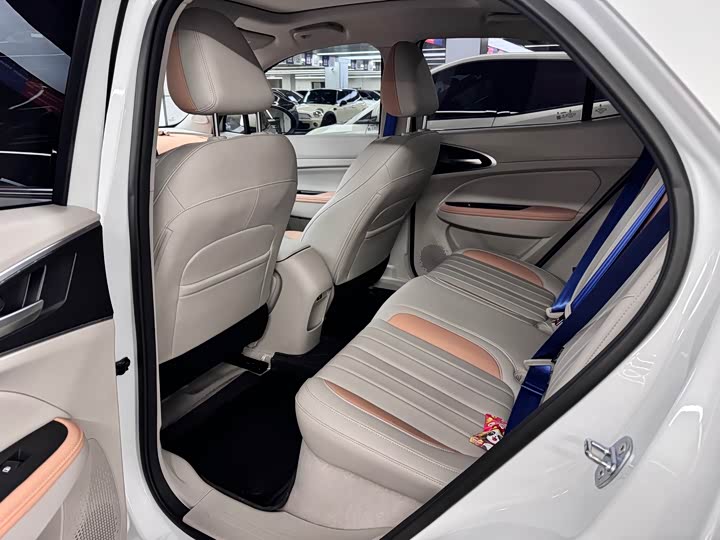 Photo 7 - Ora Good Cat (03)