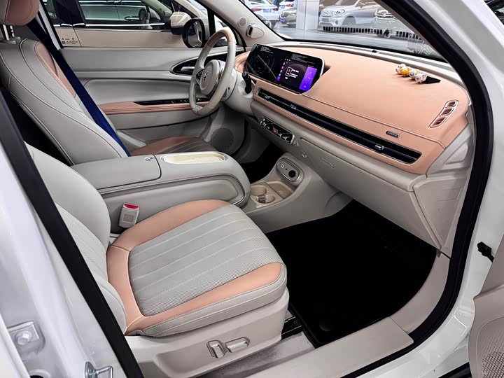 Photo 8 - Ora Good Cat (03)