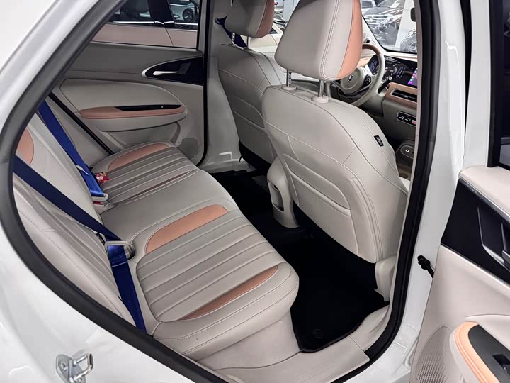 Photo 9 - Ora Good Cat (03)