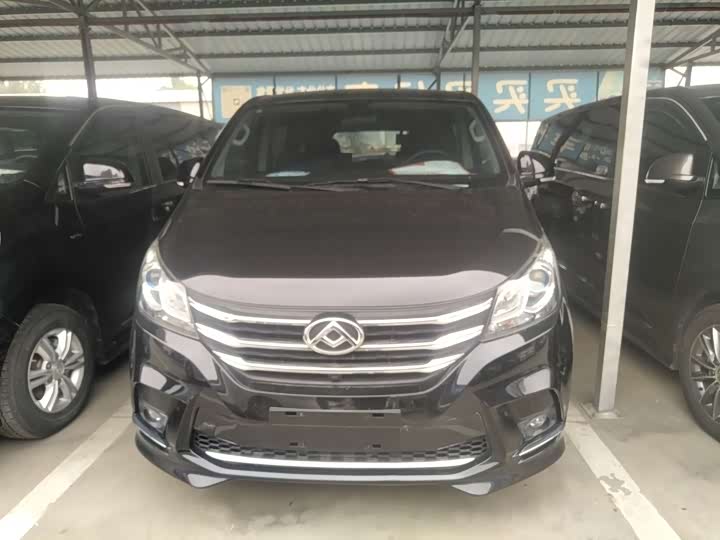 Фото 3 - Maxus G10