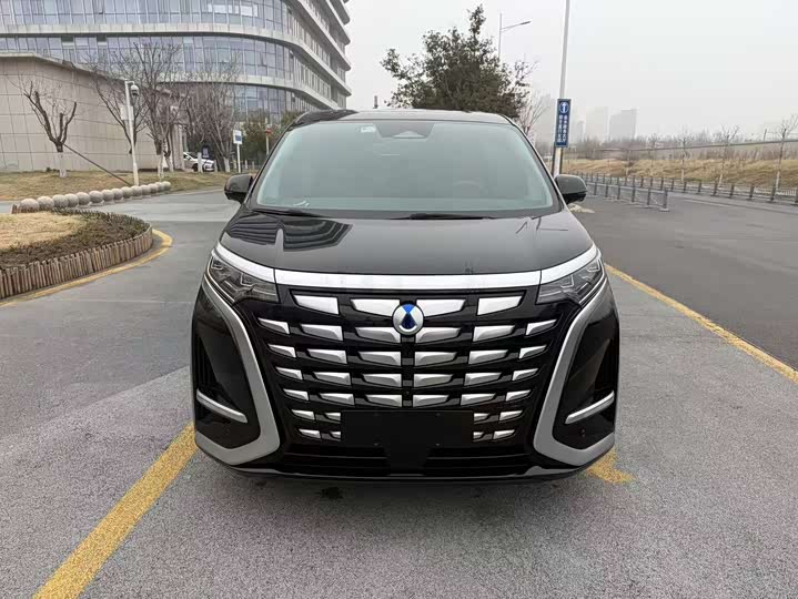 Фото 2 - Denza D9