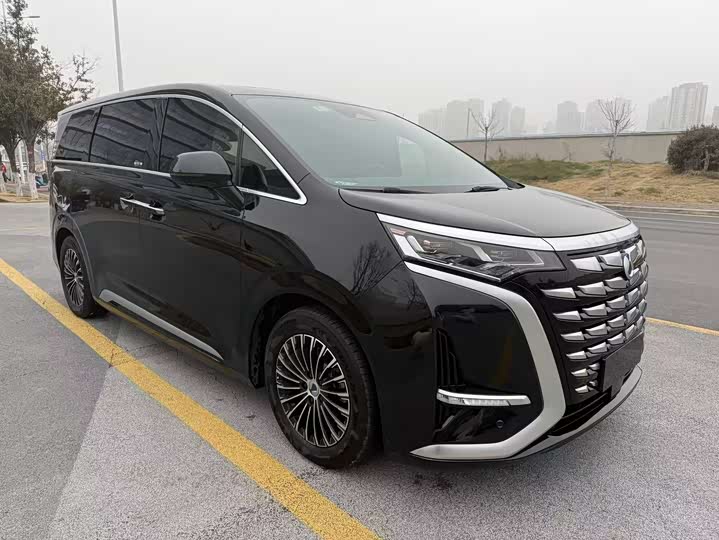 Фото 3 - Denza D9