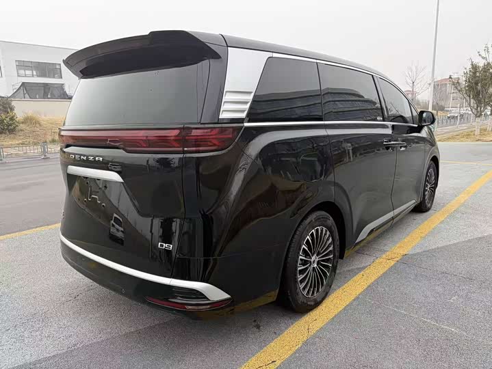 Фото 6 - Denza D9