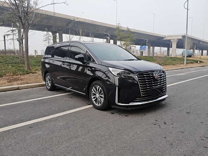 Фото 1 - Buick GL8 ES