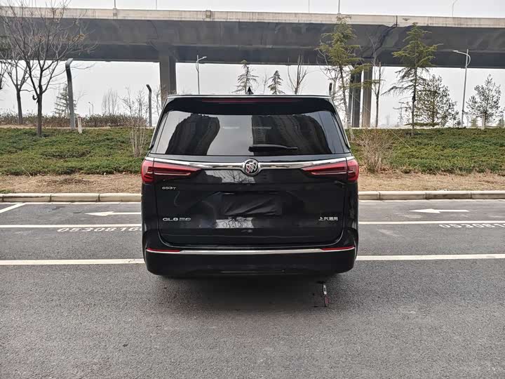 Фото 8 - Buick GL8 ES