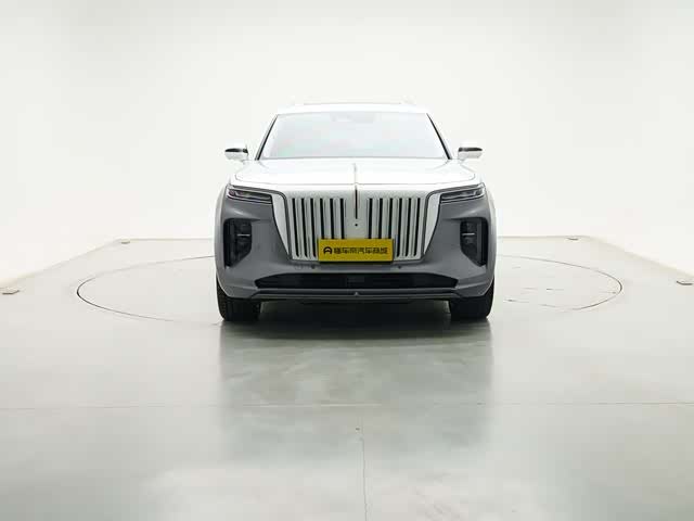 Photo 5 - Hongqi E-HS9