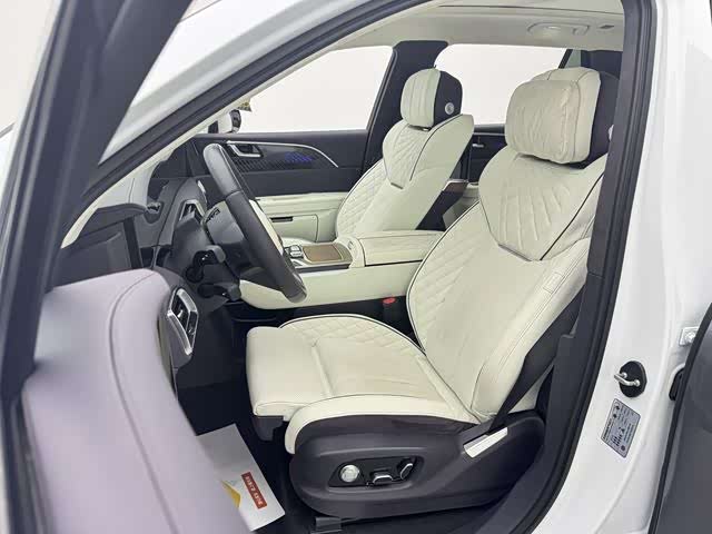 Photo 8 - Hongqi E-HS9