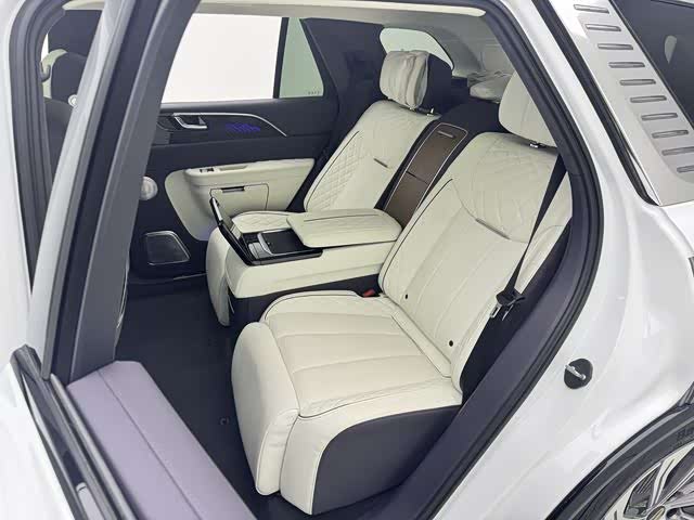 Photo 9 - Hongqi E-HS9