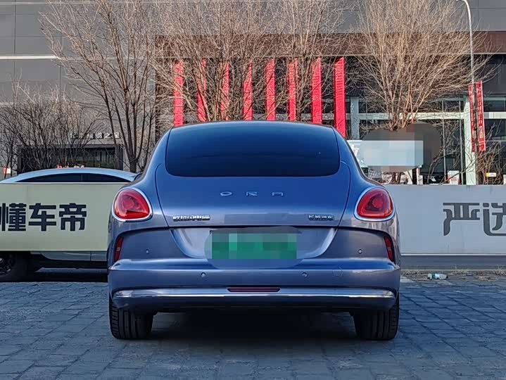 Photo 6 - Ora Lightning Cat (07)