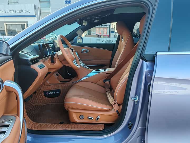 Photo 9 - Ora Lightning Cat (07)