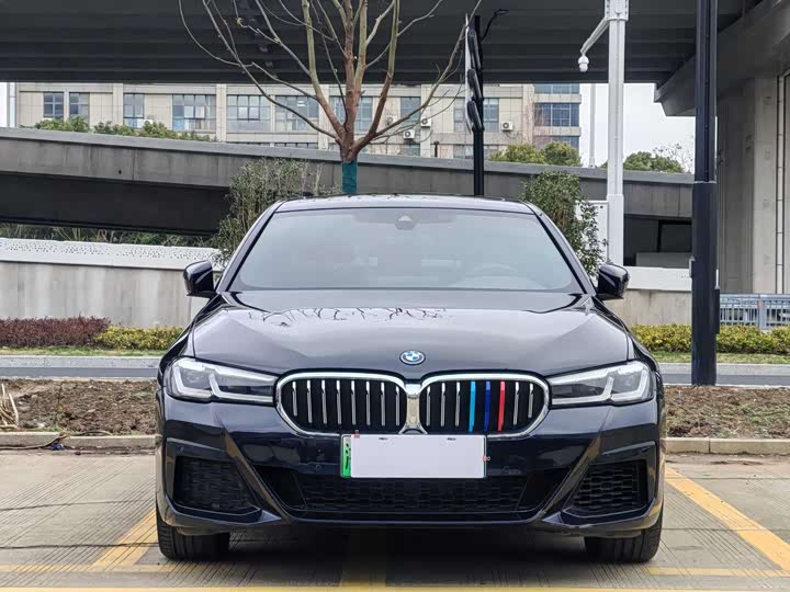 Фото 2 - BMW 5 Series Hybrid