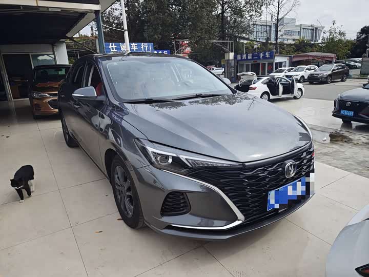 Фото 3 - Changan Eado Plus