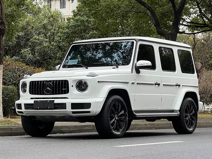 Фото 1 - Mercedes-Benz G-Class