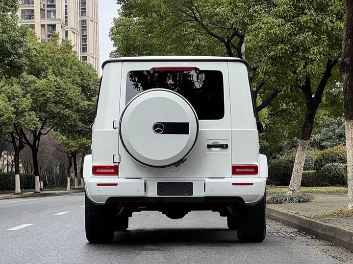 Фото 4 - Mercedes-Benz G-Class