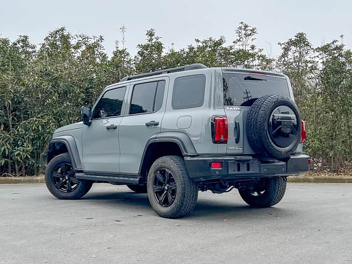 Фото 5 - Tank 300