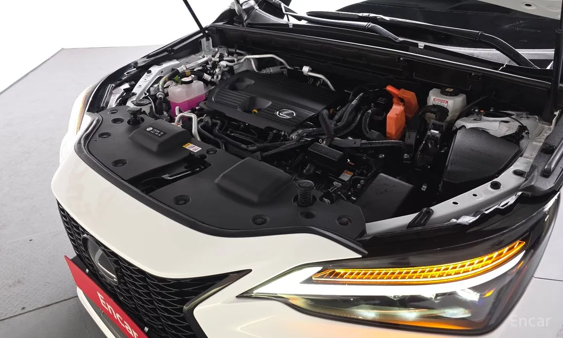 Фото 6 - Lexus NX