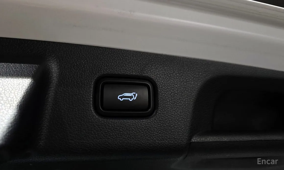Hyundai Palisade 2018 Gasoline 3.8 4WD