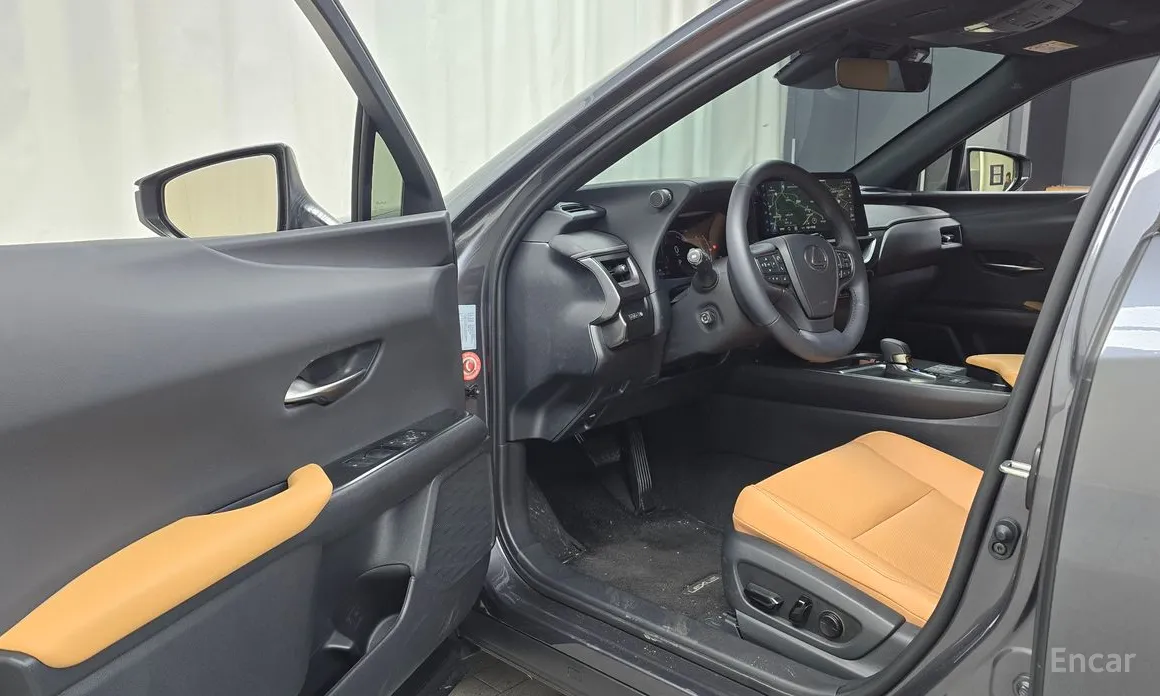 Фото 10 - Lexus UX