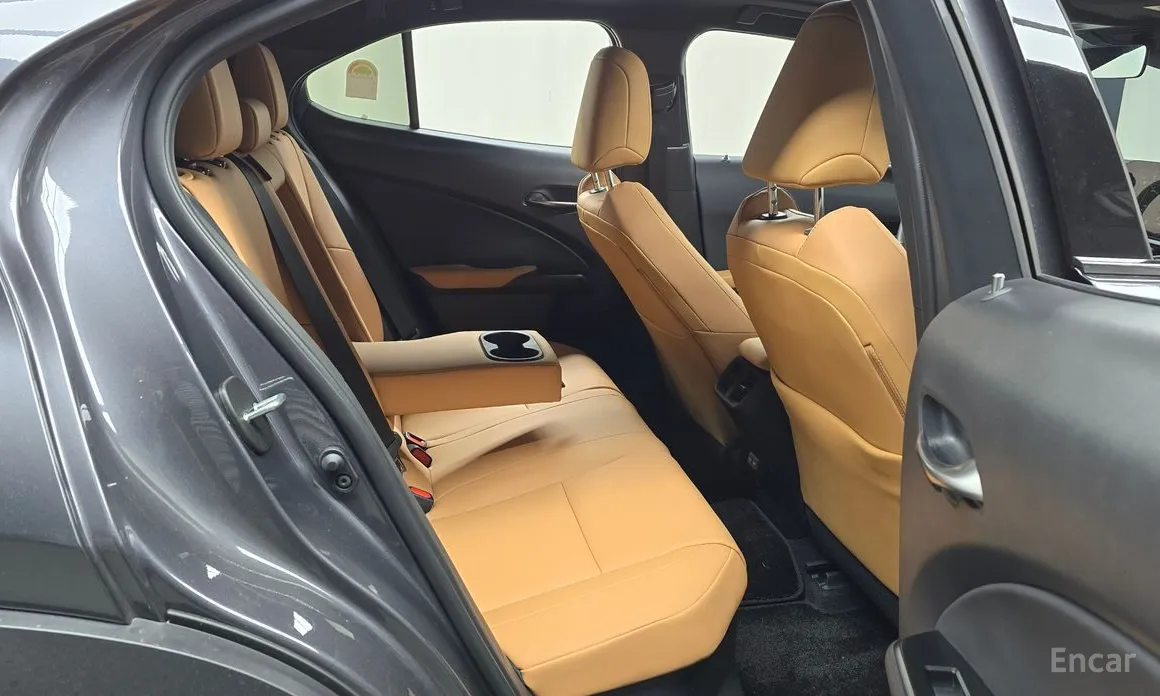 Фото 12 - Lexus UX