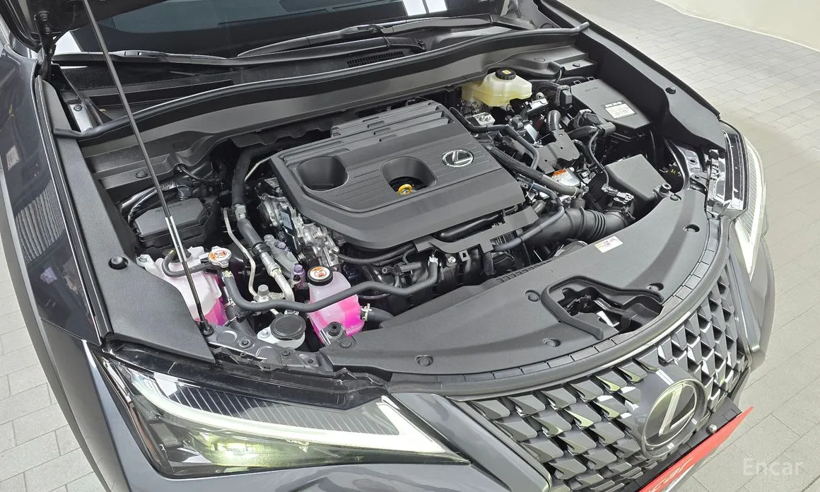 Фото 6 - Lexus UX