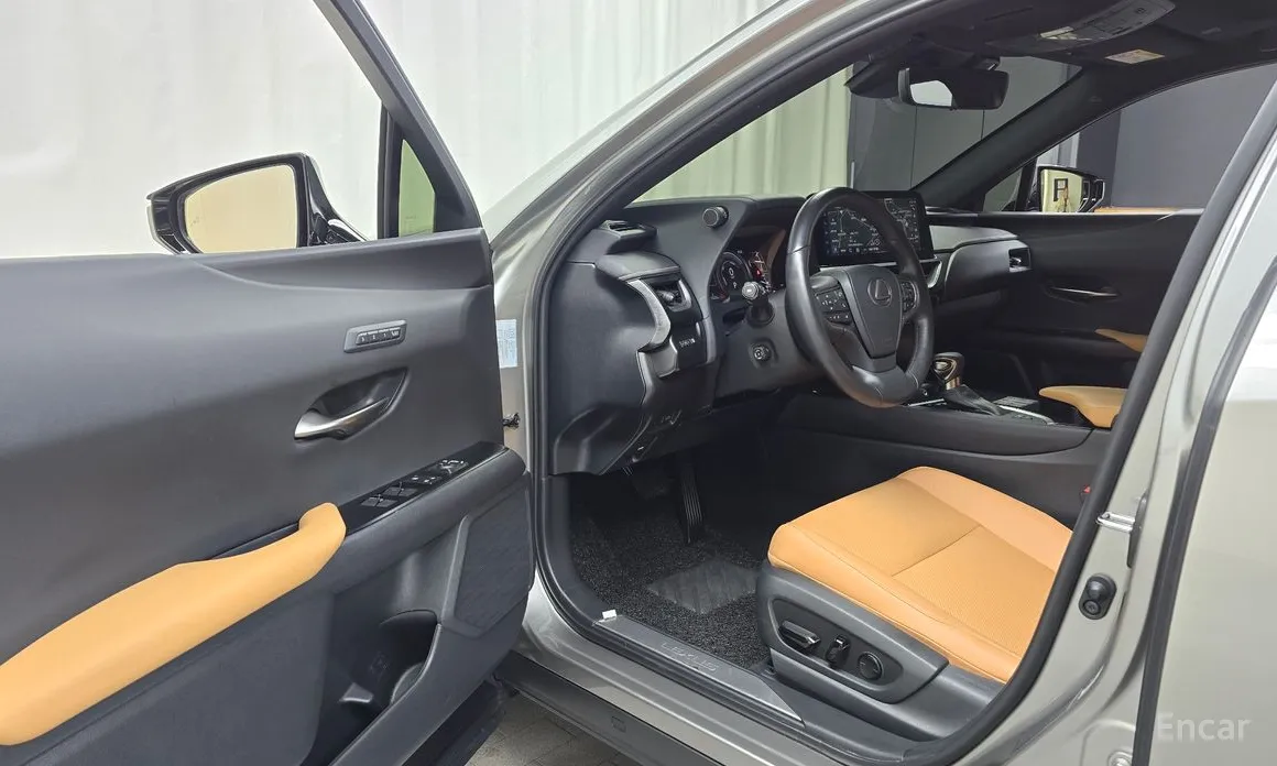 Фото 10 - Lexus UX