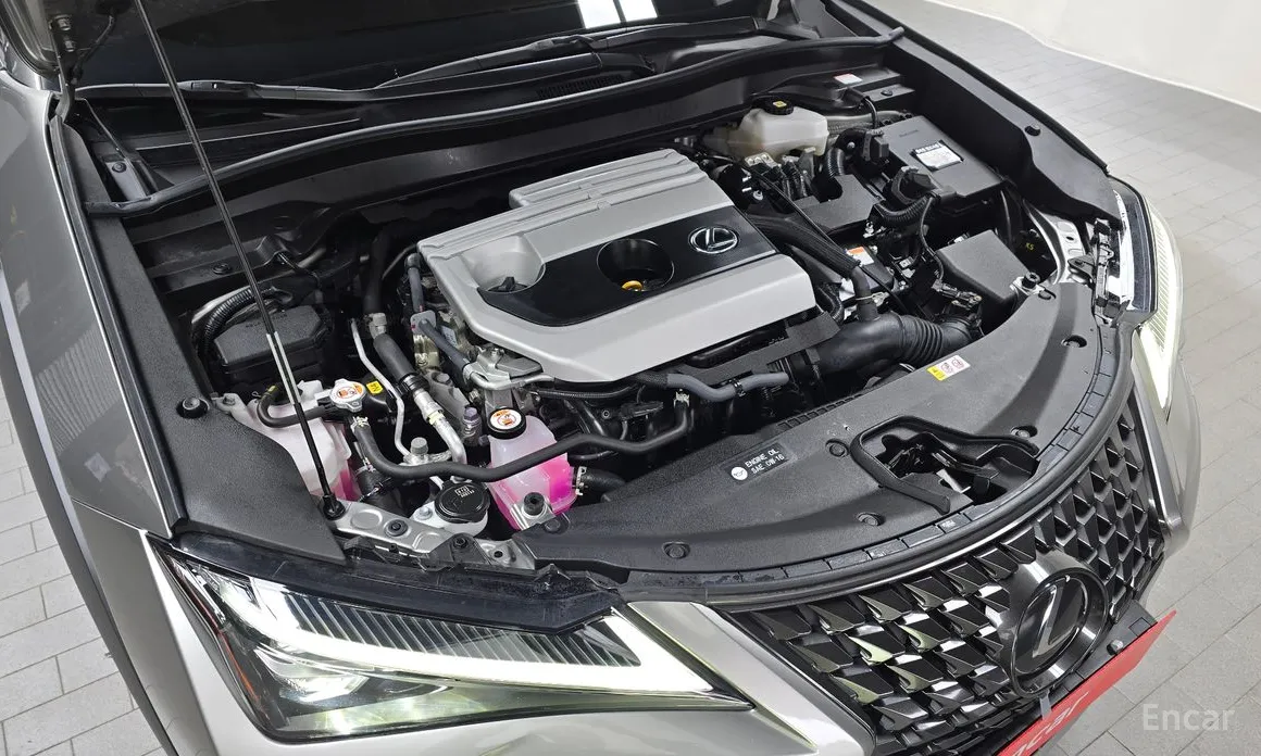 Фото 6 - Lexus UX